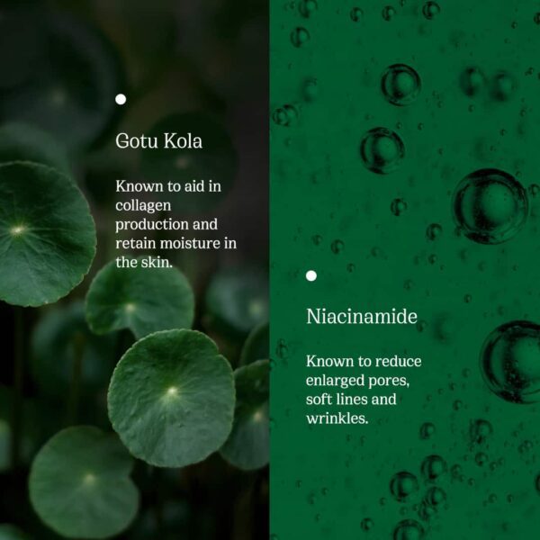 82°E Gotu Kola Dew Revitalizing Toner Serum (100 ml) - 82°E