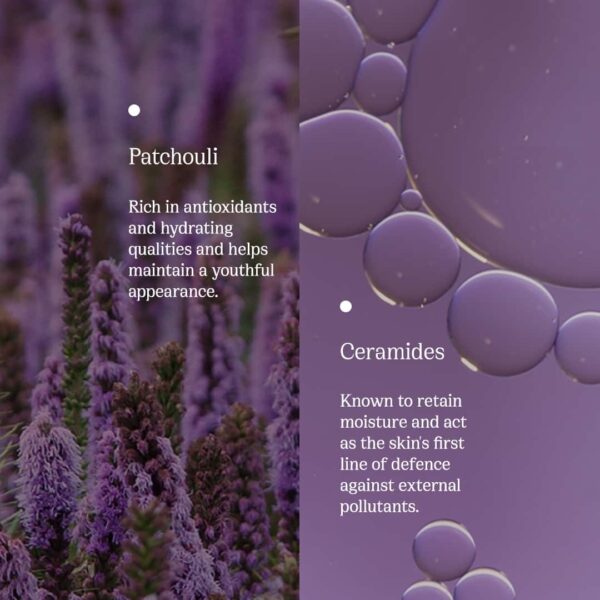 82°E Patchouli Glow Sunscreen Oil SPF 40 PA+++ with Patchouli and Ceramides (30 ml) - 82°E