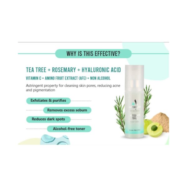 Aaranyaa Astringent Tea Tree & Rosemary Non Alcoholic Toner (100ml) - Aaranyaa