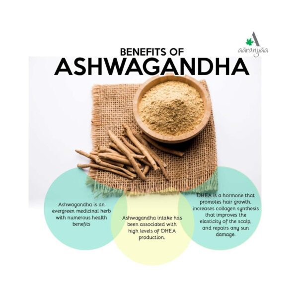 Aaranyaa Daily Moisturizing Cream (100g) - Aaranyaa