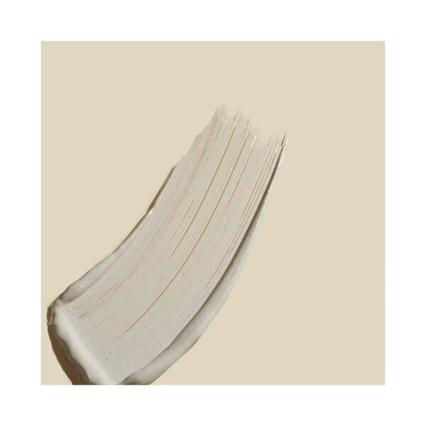 Ahava Purifying Mud Mask (100ml) - Ahava