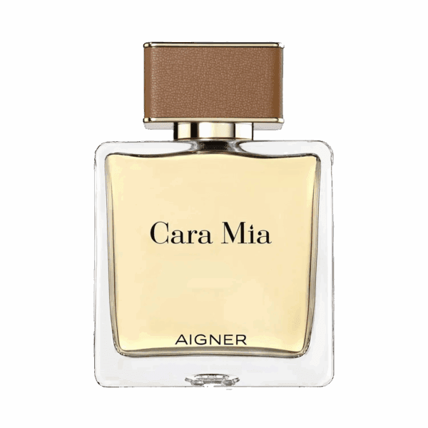 Aigner Cara Mia Eau de Parfum (100ml) - Aigner
