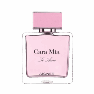 Aigner Cara Mia Ti Amo W Eau de Parfum (100ml) - Aigner