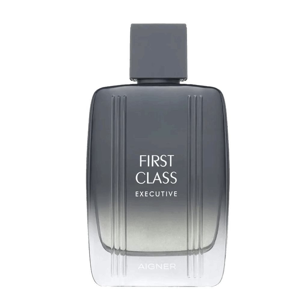 Aigner First Class Executive Eau de Toilette (100ml) - Aigner