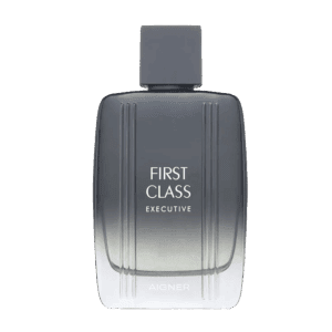Aigner First Class Executive Eau de Toilette (100ml) - Aigner