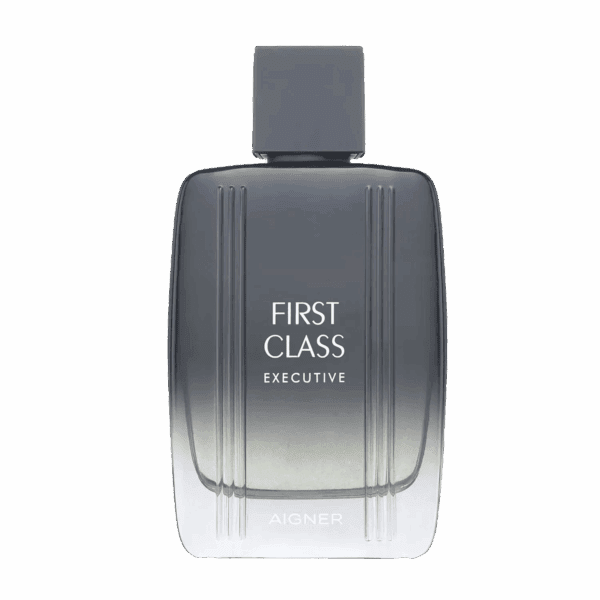 Aigner First Class Executive Eau de Toilette (100ml) - Aigner