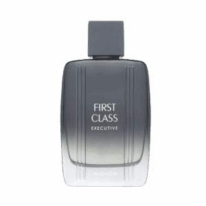 Aigner First Class Executive Eau de Toilette (50ml) - Aigner