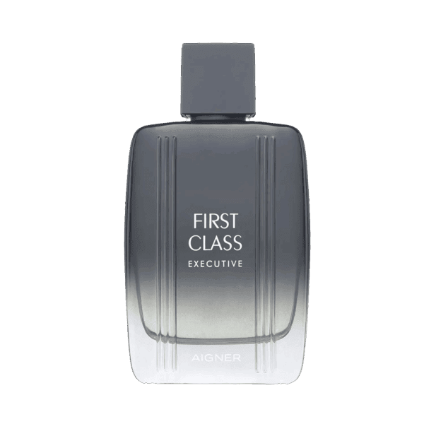 Aigner First Class Executive Eau de Toilette (50ml) - Aigner