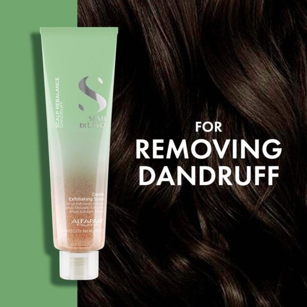 Alfaparf Milano Scalp Rebalance Exfoliating Scrub, Anti-Dandruff, Hairfall (150 ml) - Alfaparf Milano