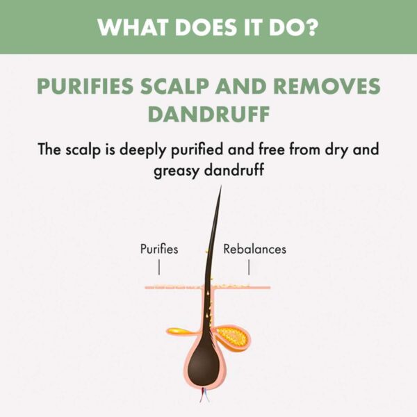 Alfaparf Milano Scalp Rebalance Exfoliating Scrub, Anti-Dandruff, Hairfall (150 ml) - Alfaparf Milano