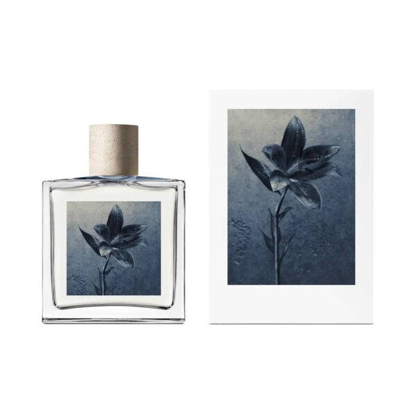 All Saints Concenrate Rain Edp (100 Ml) - All Saints