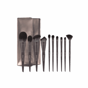 Allure Professional Makeup Brush Set with Makeup Brushes Bag - (10Pcs) - Allure