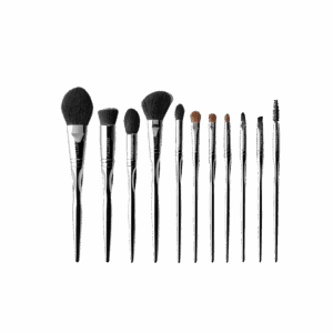Allure Professional Makeup Brush Set with Makeup Brushes Bag - (11Pcs) - Allure