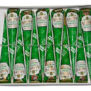 Amina Henna Instant Tatto Outline Mehendi/No Chemicals Dyes - Color Paste Cone (Green,24 Piece)