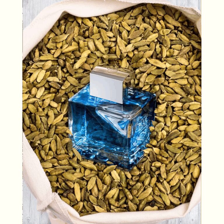 Antonio Banderas Blue Seduction Eau De Toilette (100ml) - Antonio Banderas