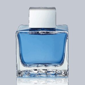 Antonio Banderas Blue Seduction Eau De Toilette (100ml) - Antonio Banderas