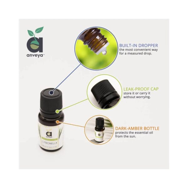 Anveya Citronella Essential Oil (15ml) - Anveya