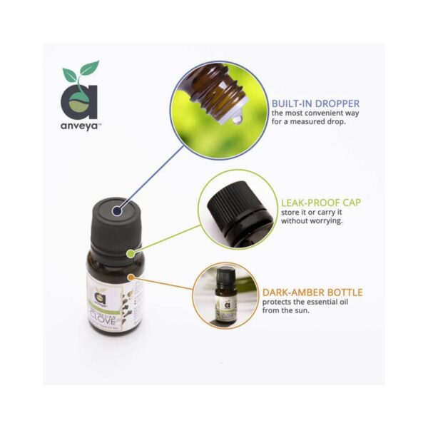 Anveya Clove Essential Oil (15ml) - Anveya