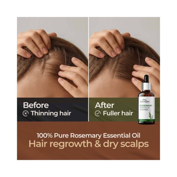 Aravi Organic 100% Pure Natural Rosemary Essential Oil For Hair Growth & Nourish Skin (50 ml) - Aravi Organic