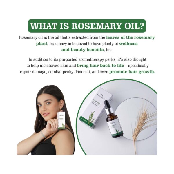 Aravi Organic 100% Pure Natural Rosemary Essential Oil For Hair Growth & Nourish Skin (50 ml) - Aravi Organic