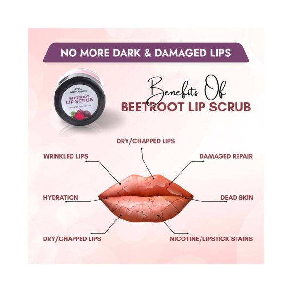 Aravi Organic Beetroot Lip Lightening Scrub Balm for Dark, Chapped & Pigmented Lips (15 g) - Aravi Organic