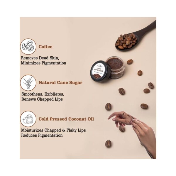 Aravi Organic Coffee Lip Lightening Scrub Balm for Dark, Chapped & Pigmented Lips (15 g) - Aravi Organic
