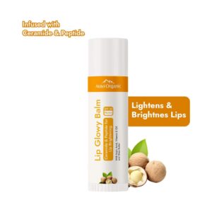 Aravi Organic Tinted Beetroot Lip Balm With SPF 50 PA+++ -Kojic Acid & Ceramide (5 g) - Aravi Organic