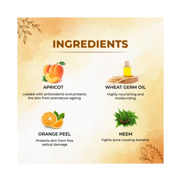 Astaberry Apricot Scrub (100ml) - Astaberry