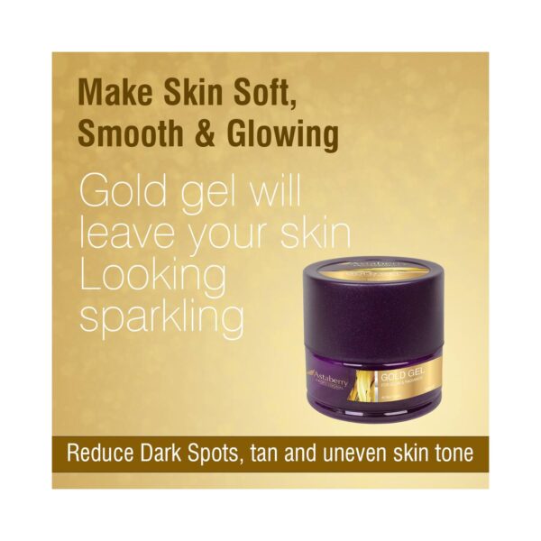 Astaberry Professional Gold Gel (500ml) - Astaberry