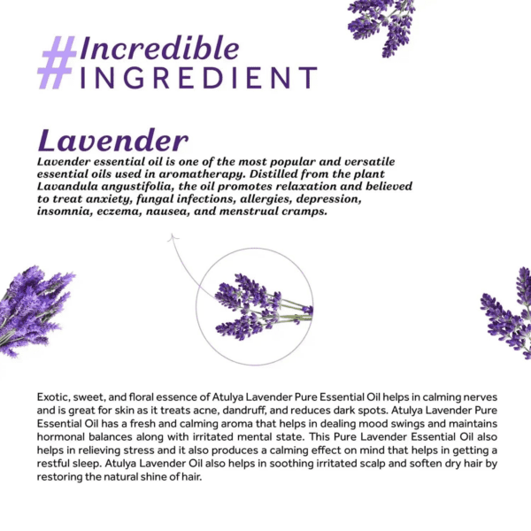 Atulya Lavender Essential Oil (15ml) - Atulya