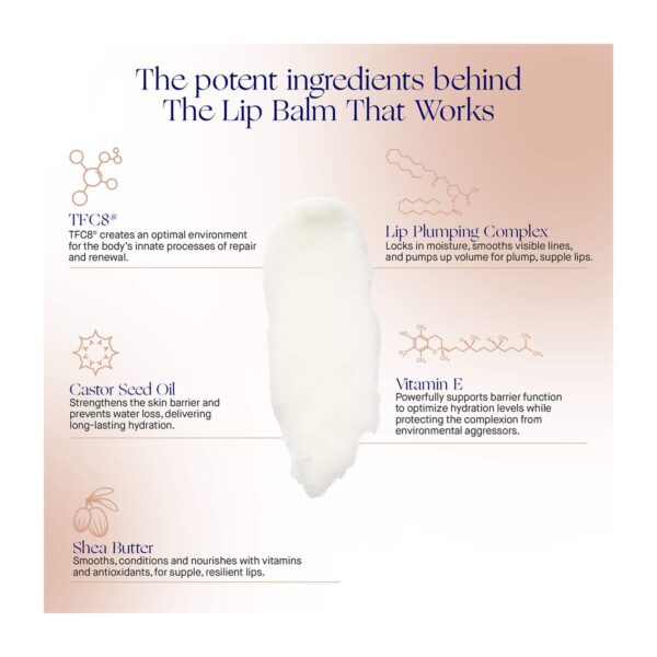 Augustinus Bader The Lip Balm (4 g) - Augustinus Bader