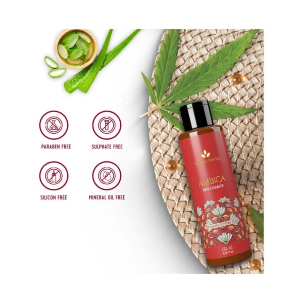 Avimee Herbal Ambica Hair Cleanser (200 ml) - Avimee Herbal