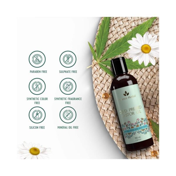 Avimee Herbal Cold Pressed Castor Oil (100 ml) - Avimee Herbal