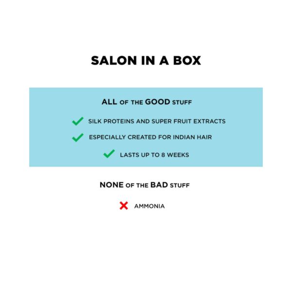 BBlunt Salon Secret High Shine Cream Hair Color - 6.62 Cherry Red (2Pcs) - BBlunt