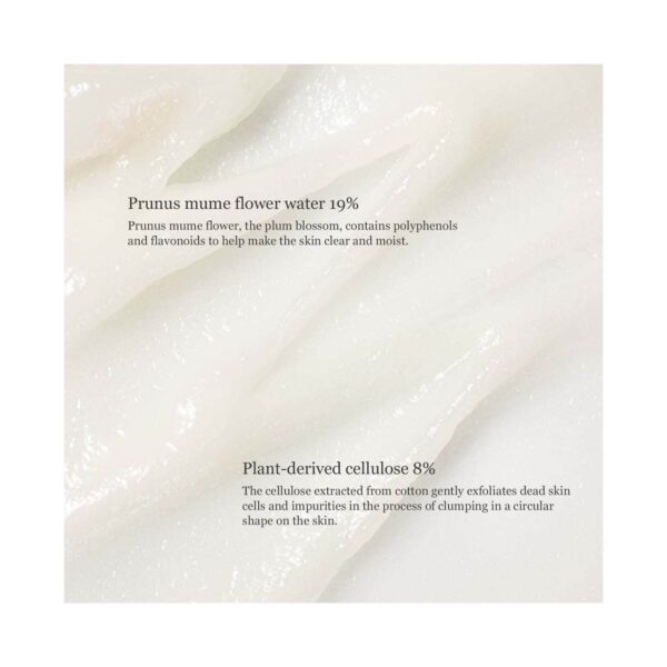 Beauty of Joseon Apricot Blossom Peeling Gel (100 ml) - Beauty of Joseon