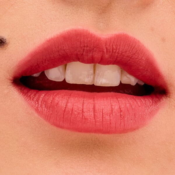 Benefit Cosmetics Plushtint Moisturizing Matte Lip Tint - 12 Purrr Soft Fig (6 ml) - Benefit Cosmetics