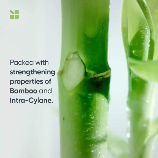 Biolage Advanced Fiberstrong Shampoo (200ml) - Biolage