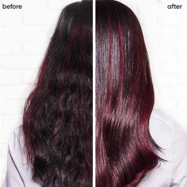 Biolage Colorlast Shampoo & Conditioner Combo for Protection to Color Treated Hair (200 ml + 98 g) - Biolage