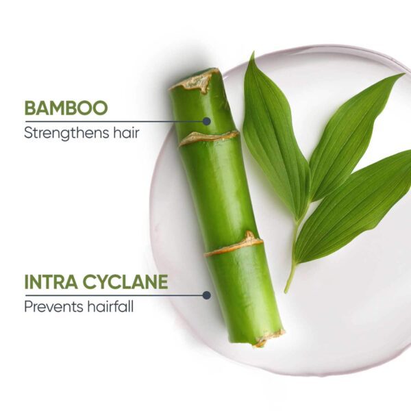 Biolage Fiberstrong Shampoo & Conditioner Combo, 12x Strength in Weak, Fragile Hair (400 ml + 196 g) - Biolage