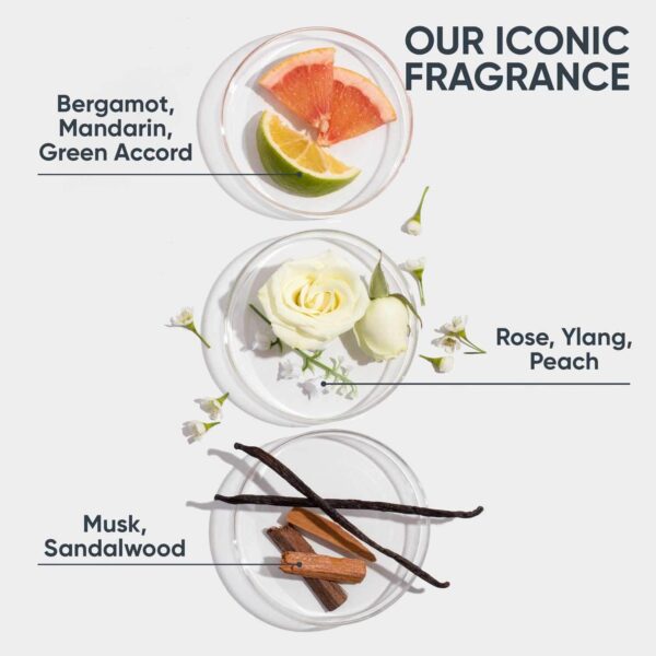 Biolage Hydrasource Shampoo & Conditioner Combo Enriched with Aloe for Dry Hair (200 ml + 98 g) - Biolage