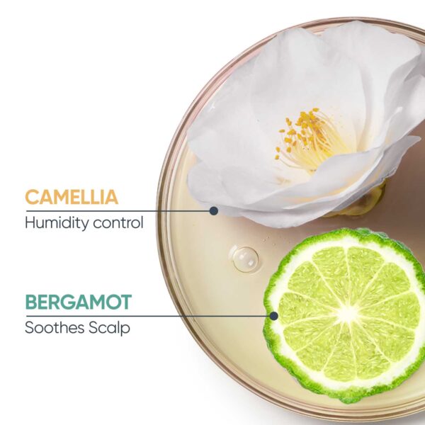 Biolage Scalp & Hair Reset Kit-Anti-Dandruff Shampoo, Anti-Frizz Conditioner & Scalp Massager(3 pcs) - Biolage