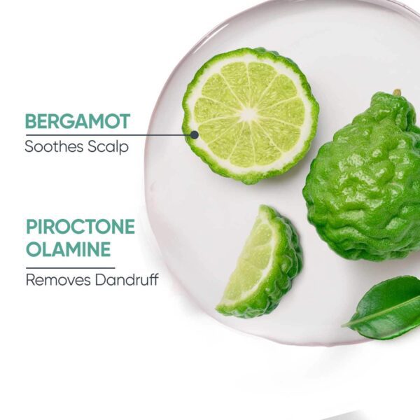 Biolage Scalppure Shampoo & Conditioner Combo, Removes Flakes from 1st Wash (200 ml + 98 g) - Biolage