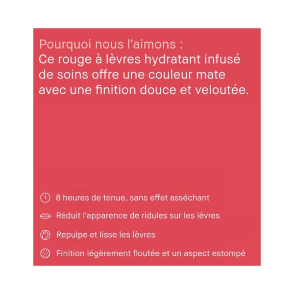 Bobbi Brown Luxe Matte Liquid Lipstick - Icon (6 ml) - Bobbi Brown