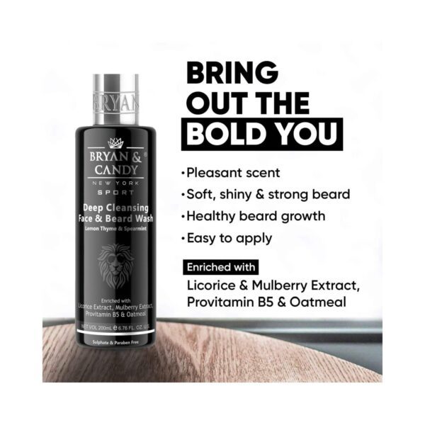 BRYAN & CANDY Lion Series Face & Beard Wash (200ml) - BRYAN & CANDY