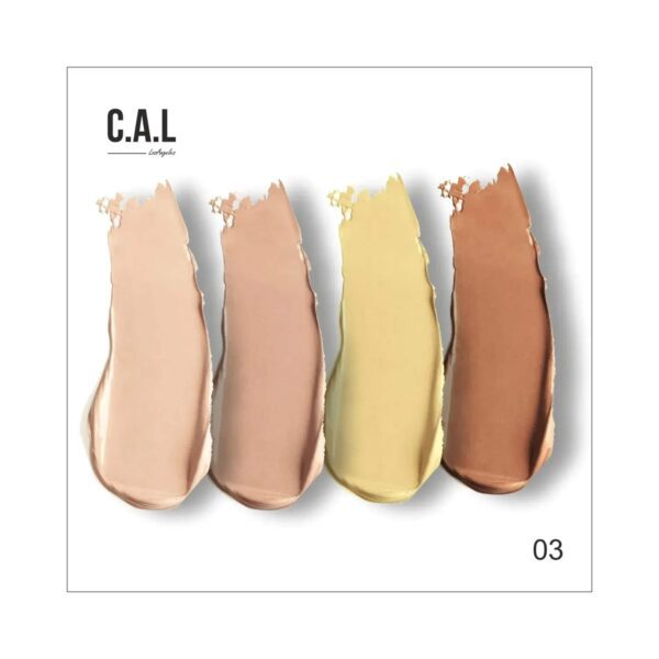 C.A.L Los Angeles Chiselled Contour And Concealer Wheel - Beige Dark (20g) - C.A.L Los Angeles