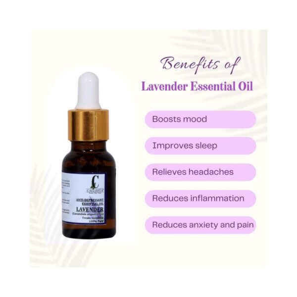 Callesta Lavender Essential Oil (15ml) - Callesta