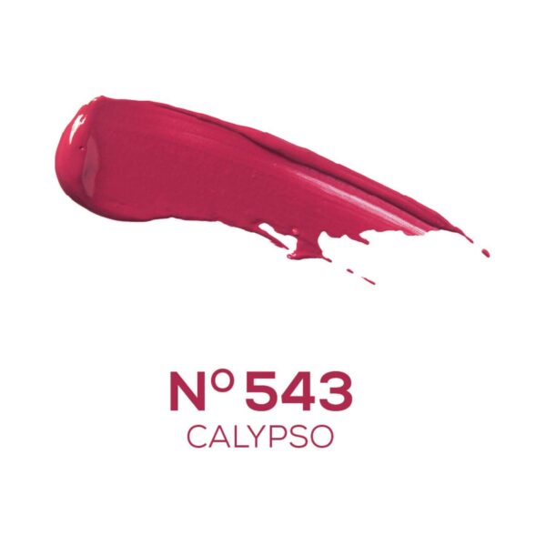 Chambor Extreme Wear Hydrating Matte, Intensely Pigmented, Lasts 12 Hours, Transferproof Liquid Lipstick + HA - Calypso 543 (6 ml) - Chambor
