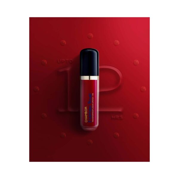 Chambor Extreme Wear Hydrating Matte, Intensely Pigmented, Lasts 12 Hours, Transferproof Liquid Lipstick + HA - Andromache 502 (6 ml) - Chambor