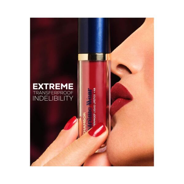 Chambor Extreme Wear Hydrating Matte, Intensely Pigmented, Lasts 12 Hours, Transferproof Liquid Lipstick + HA - Andromache 502 (6 ml) - Chambor