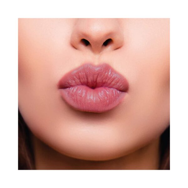 Chambor Le Mwah! Tinted Lip Balm - N 101 Mauve Air-Kiss (4.5g) - Chambor